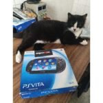 PS VITA 128GB